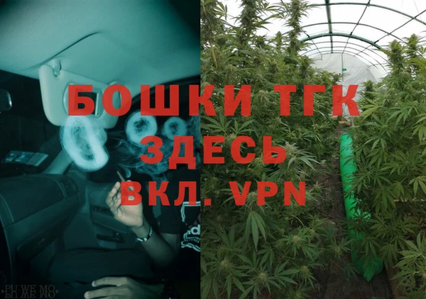 эйфоретик Мегион