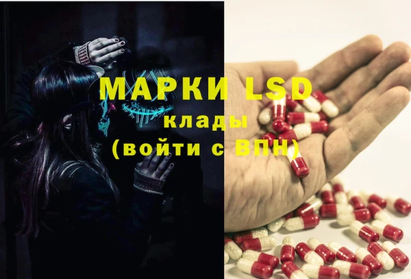 тгк Болохово