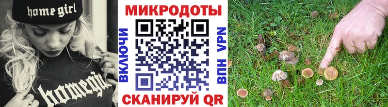 наркошоп  Инза  Псилоцибиновые грибы MAGIC MUSHROOMS 